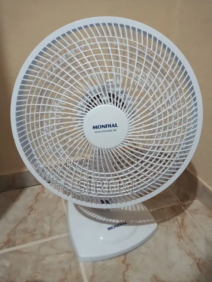 Ventilateur À Sol.