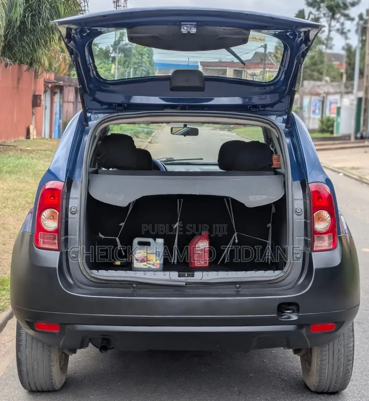Renault Duster 2013 Bleu
