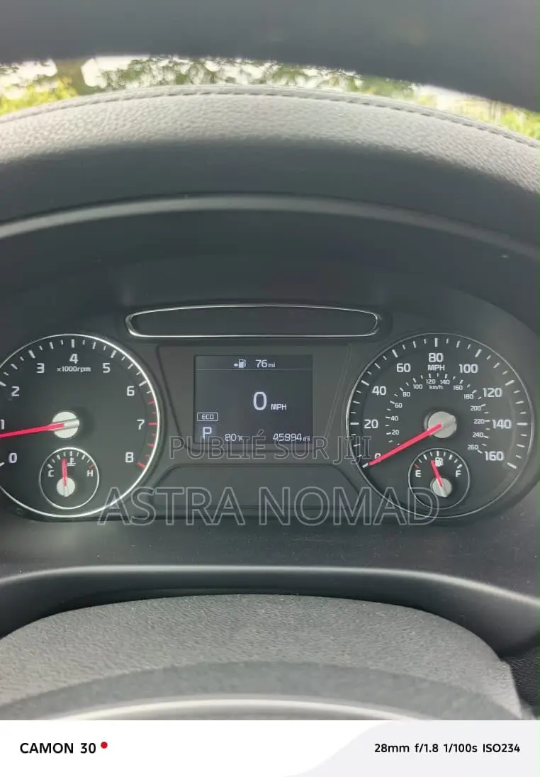 Kia Sorento 2022 Rouge