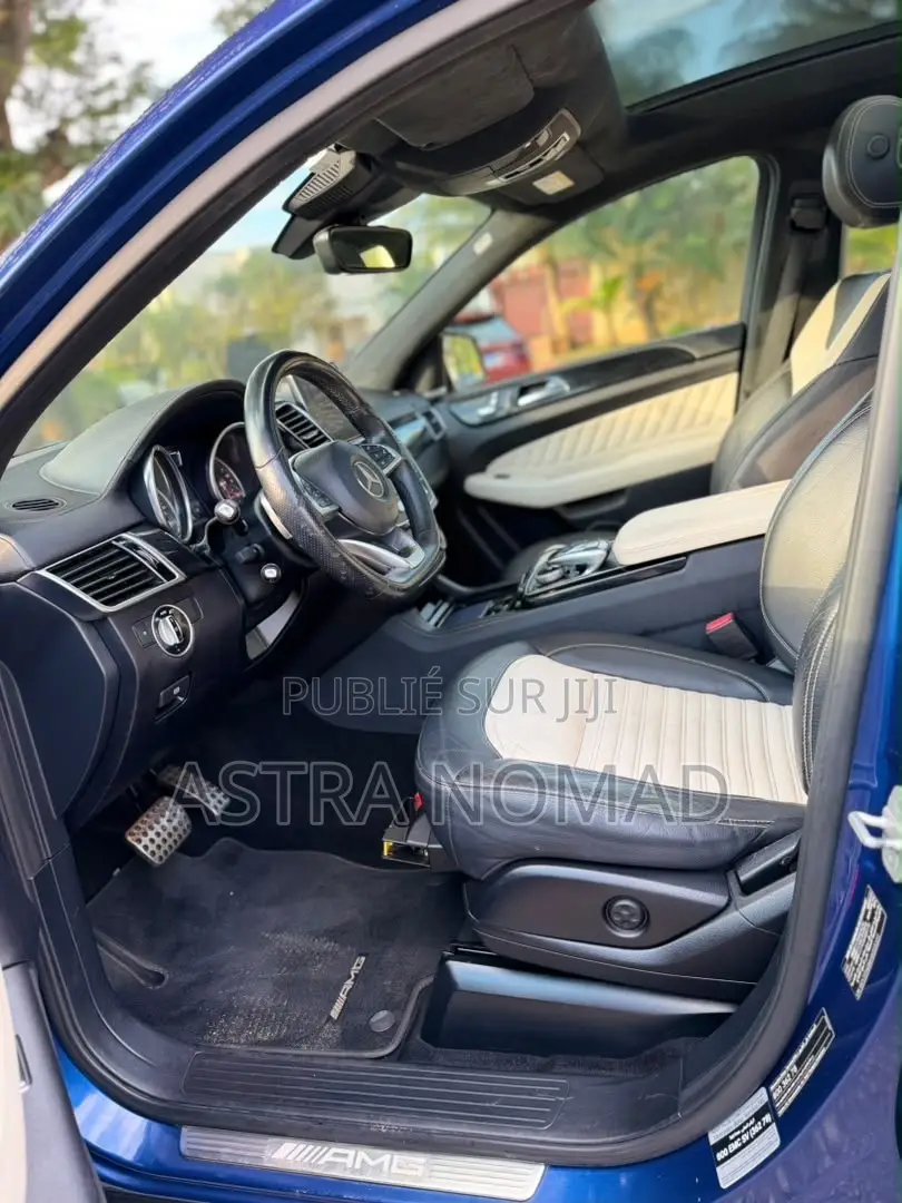 Mercedes-Benz GLE-Class 2017 Bleu