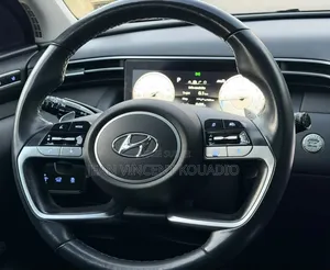 Hyundai Tucson Limited 2022 Gris