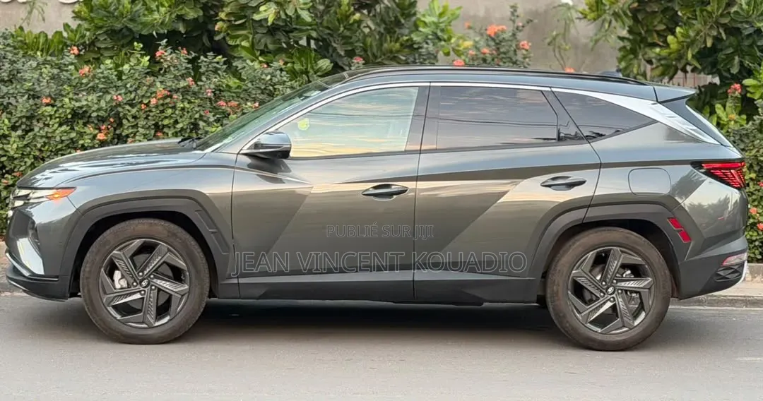 Hyundai Tucson Limited 2022 Gris