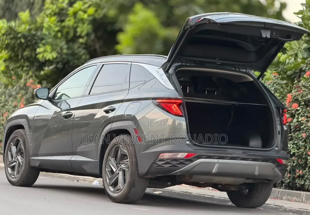 Hyundai Tucson Limited 2022 Gris