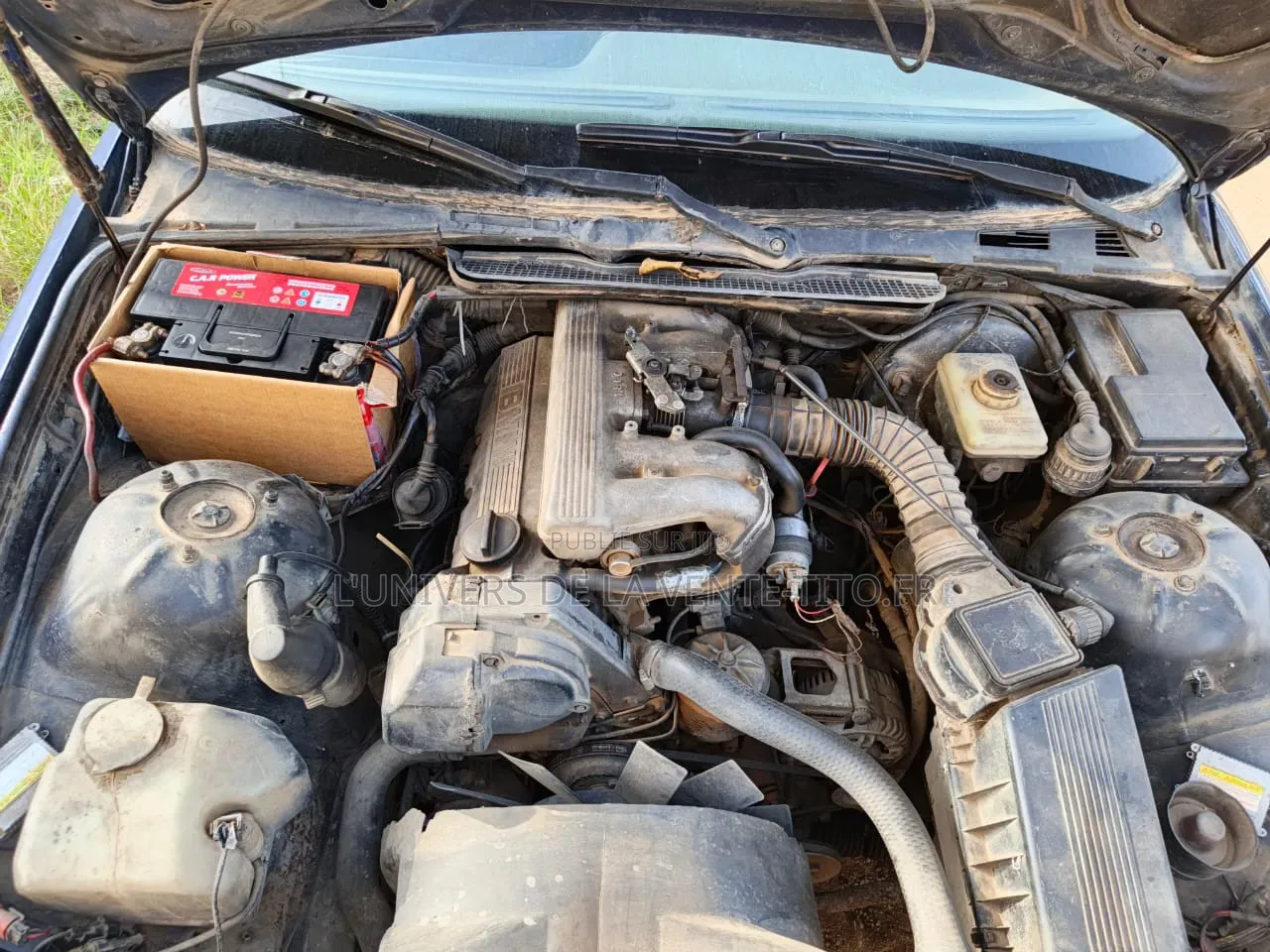 BMW 3 Series 316i RWD 2001 Bleu
