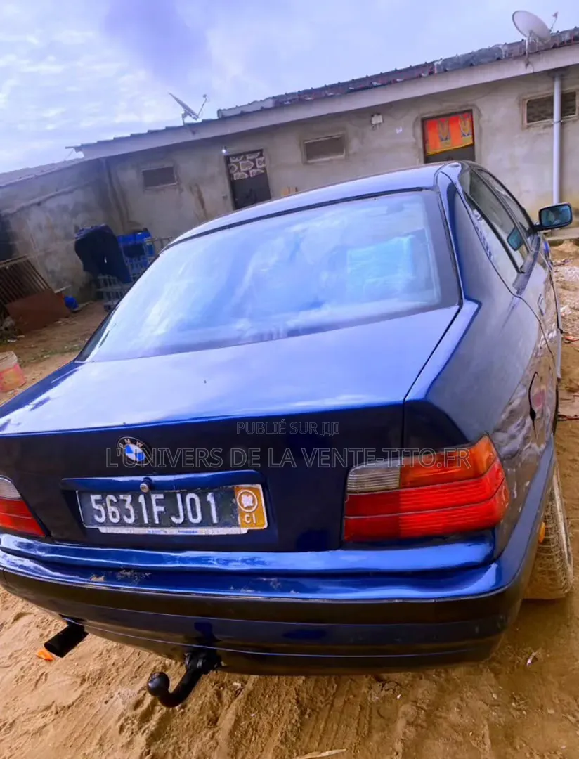 BMW 3 Series 316i RWD 2001 Bleu