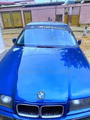 BMW 3 Series 316i RWD 2001 Bleu