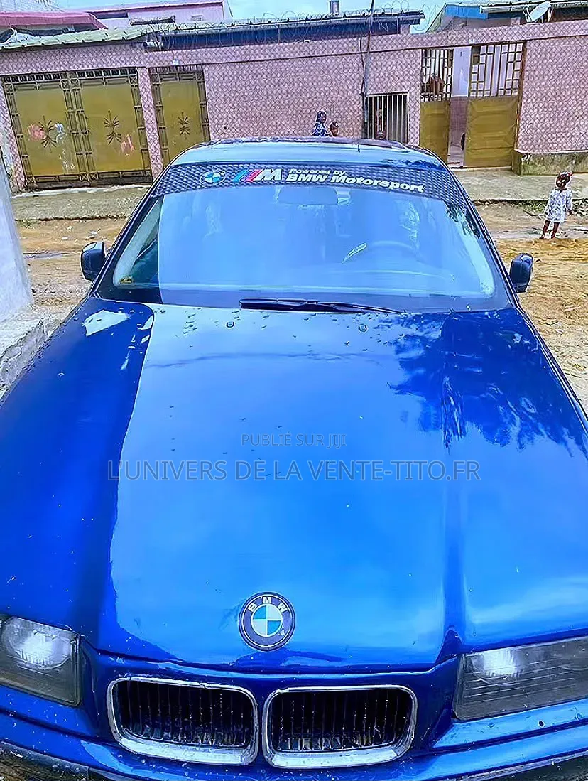 BMW 3 Series 316i RWD 2001 Bleu