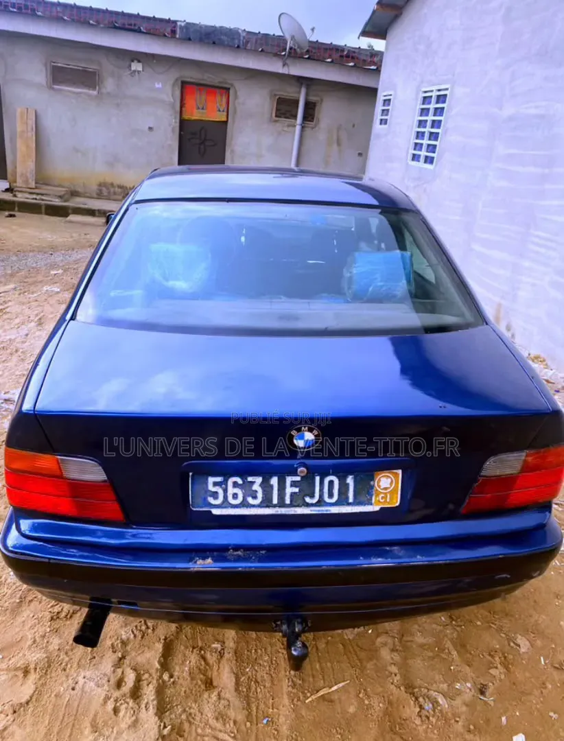 BMW 3 Series 316i RWD 2001 Bleu