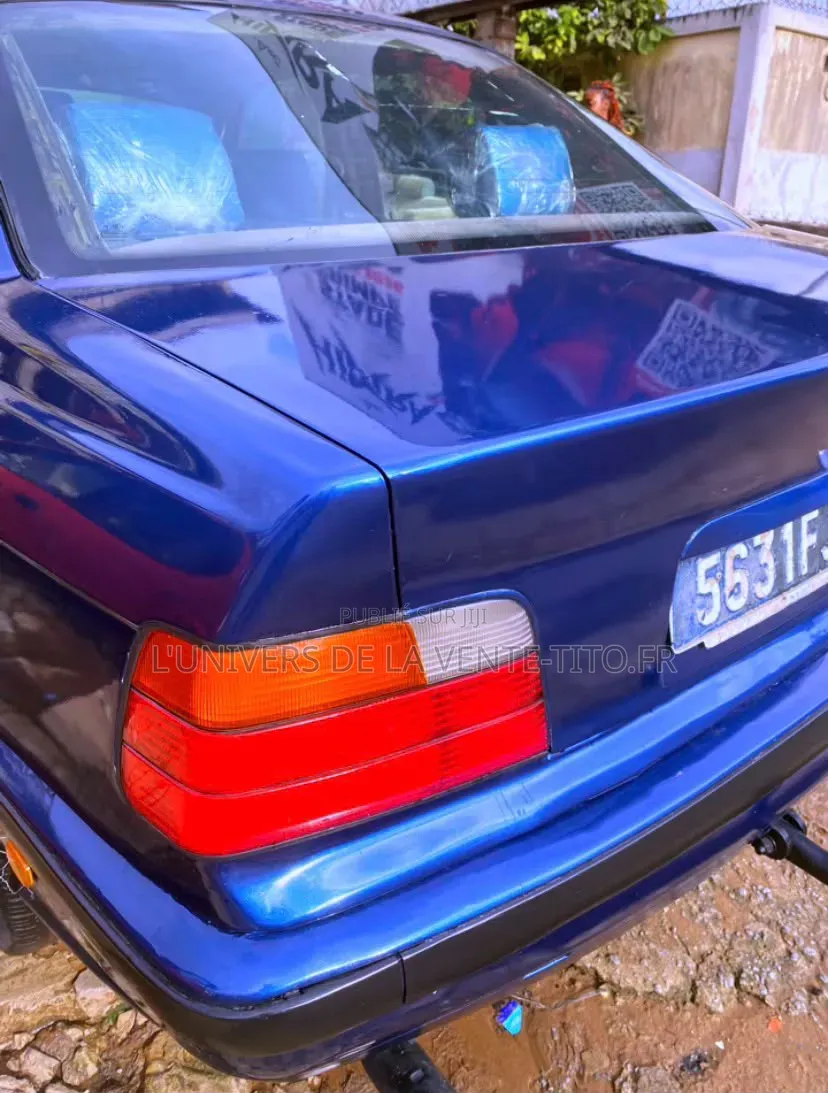 BMW 3 Series 316i RWD 2001 Bleu
