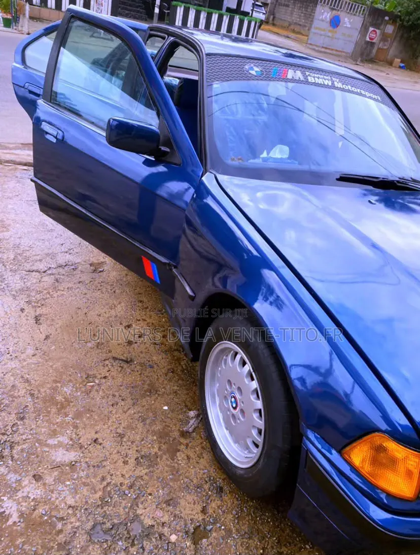 BMW 3 Series 316i RWD 2001 Bleu