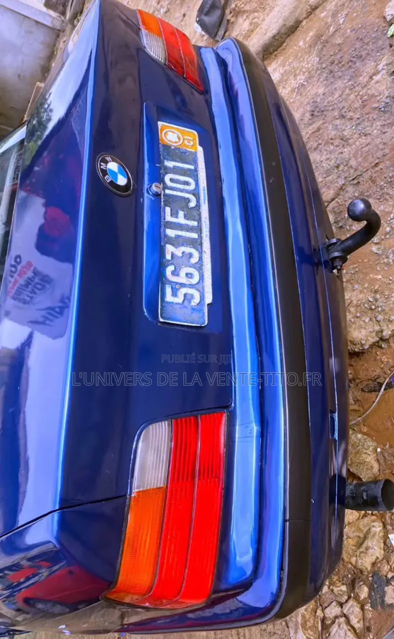 BMW 3 Series 316i RWD 2001 Bleu