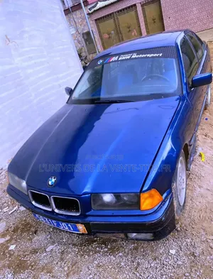 BMW 3 Series 316i RWD 2001 Bleu