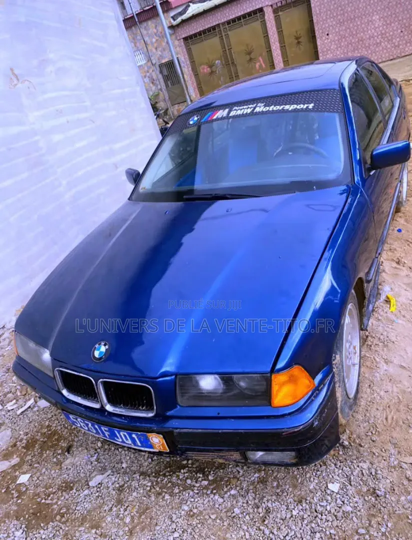 BMW 3 Series 316i RWD 2001 Bleu