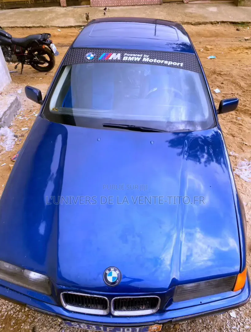BMW 3 Series 316i RWD 2001 Bleu