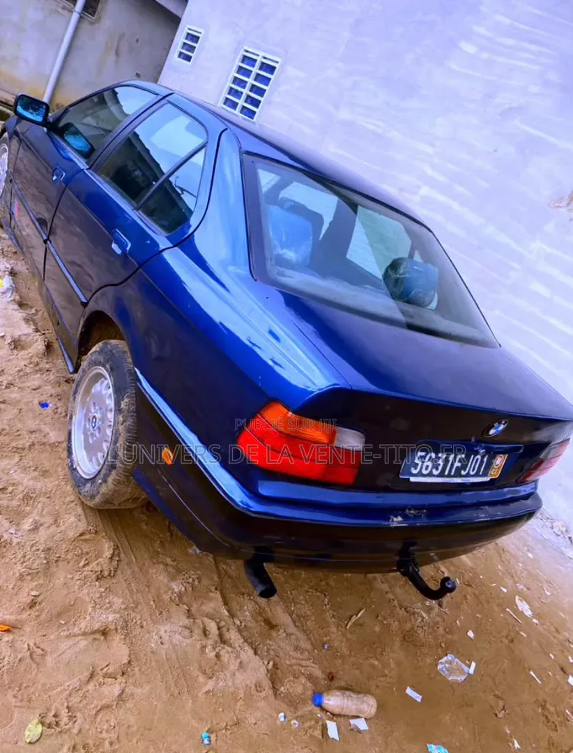 BMW 3 Series 316i RWD 2001 Bleu