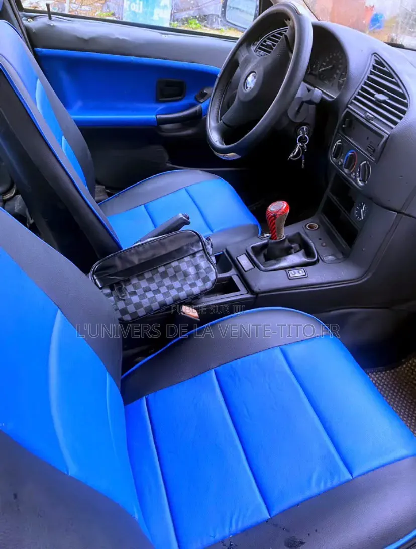 BMW 3 Series 316i RWD 2001 Bleu
