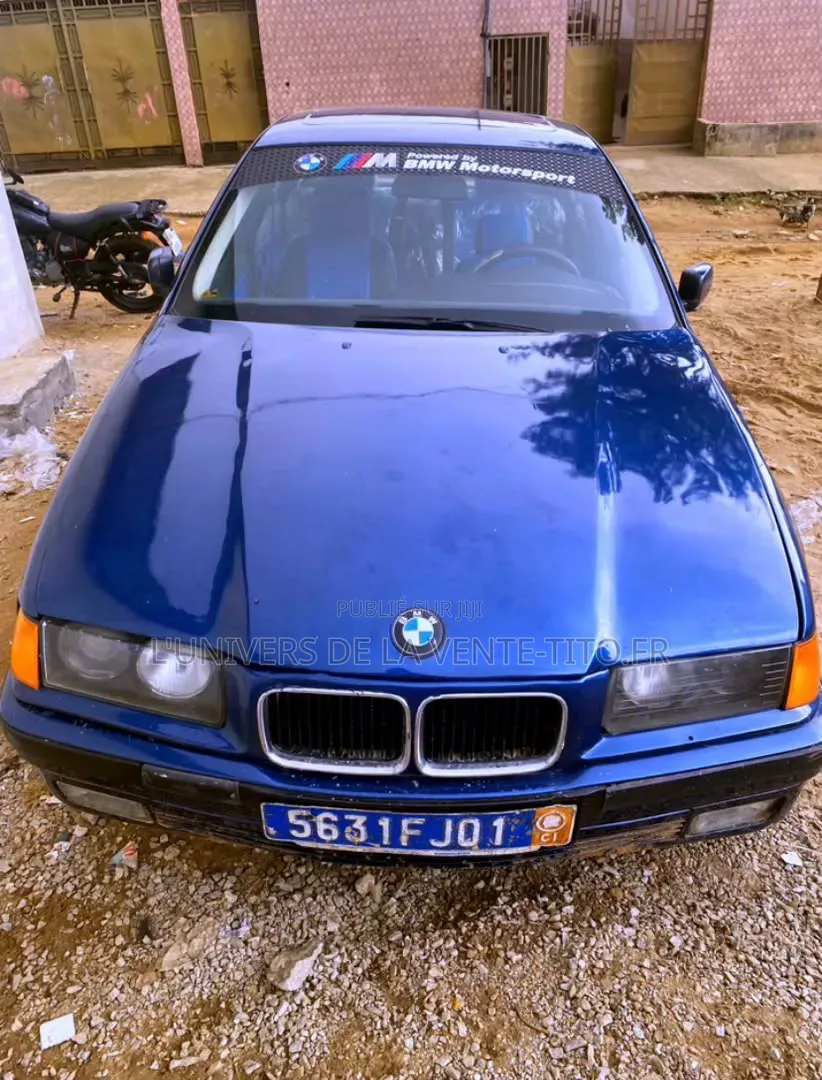 BMW 3 Series 316i RWD 2001 Bleu