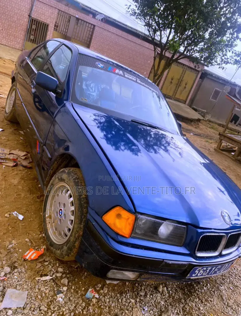 BMW 3 Series 316i RWD 2001 Bleu