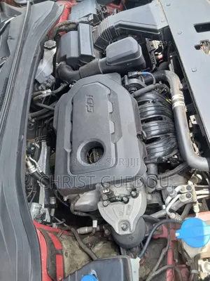 Hyundai Santa Fe 2020 Rouge