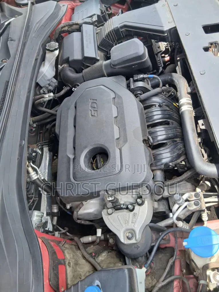 Hyundai Santa Fe 2020 Rouge