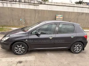 Peugeot 307 2006 Gris
