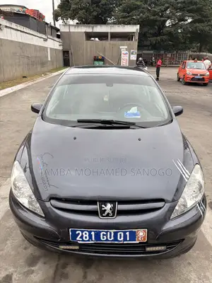 Peugeot 307 2006 Gris