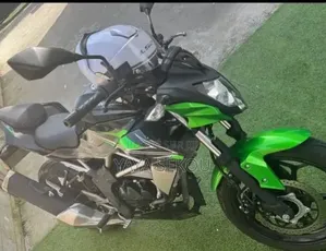 Nouveau Kawasaki KLR 650 2026 Vert