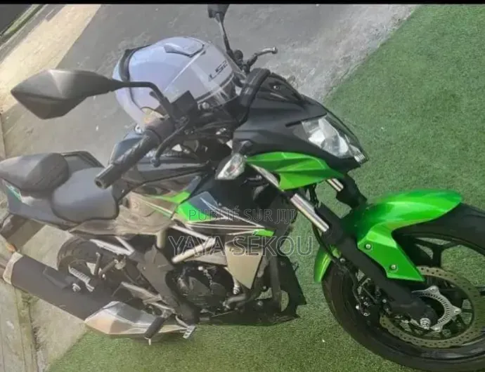 Nouveau Kawasaki KLR 650 2026 Vert