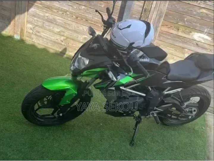 Nouveau Kawasaki KLR 650 2026 Vert