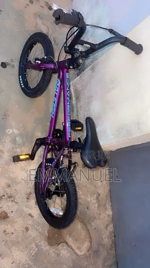 Raleigh 14" Performance - TBE ( Tres Bon Etat )