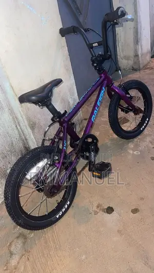 Raleigh 14" Performance - TBE ( Tres Bon Etat )
