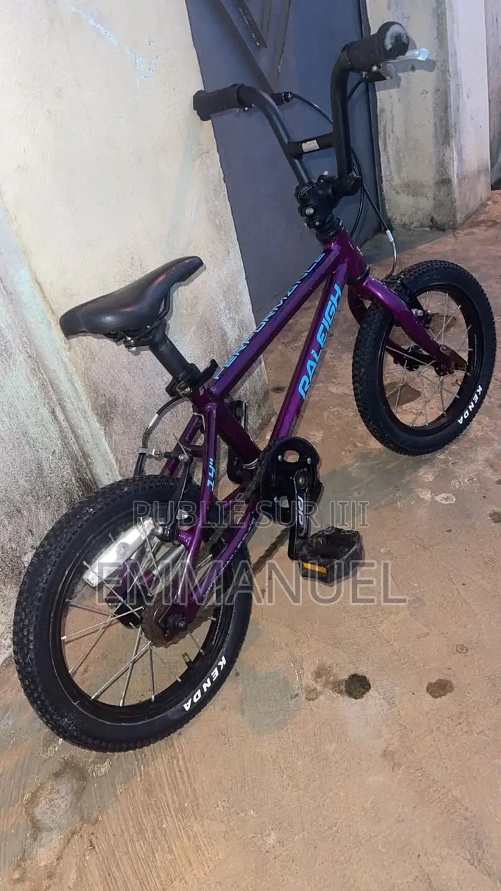 Raleigh 14" Performance - TBE ( Tres Bon Etat )