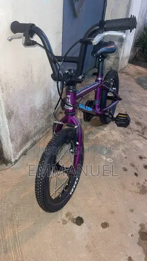 Raleigh 14" Performance - TBE ( Tres Bon Etat )