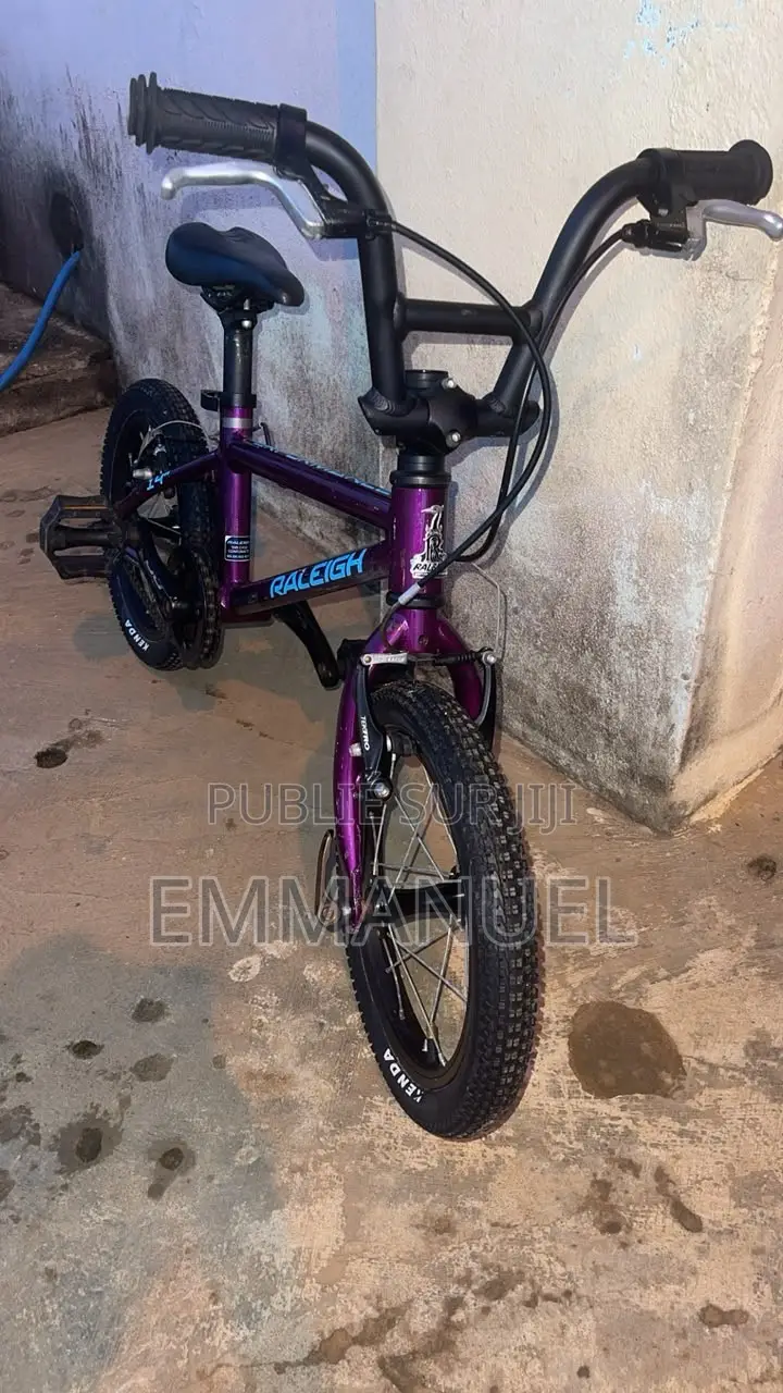 Raleigh 14" Performance - TBE ( Tres Bon Etat )