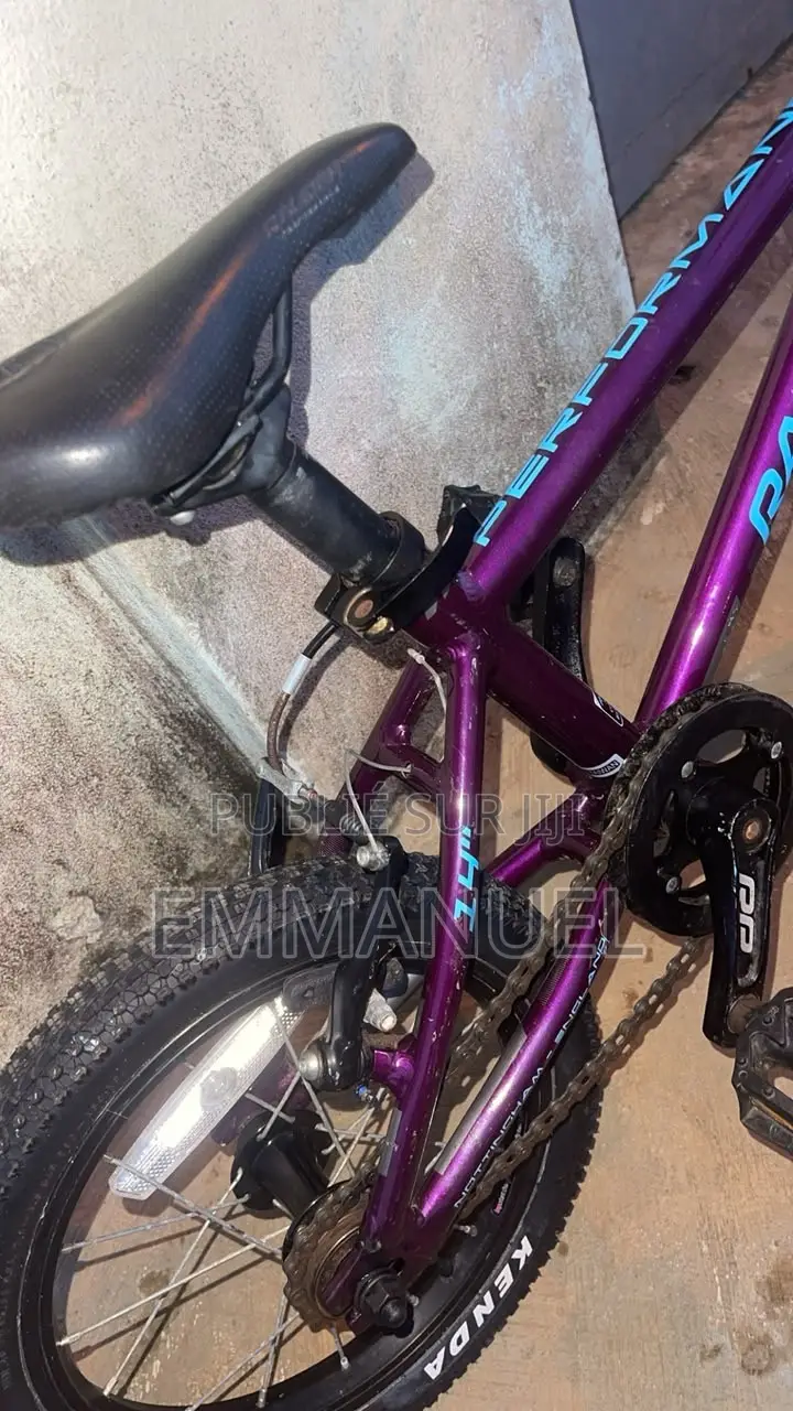 Raleigh 14" Performance - TBE ( Tres Bon Etat )