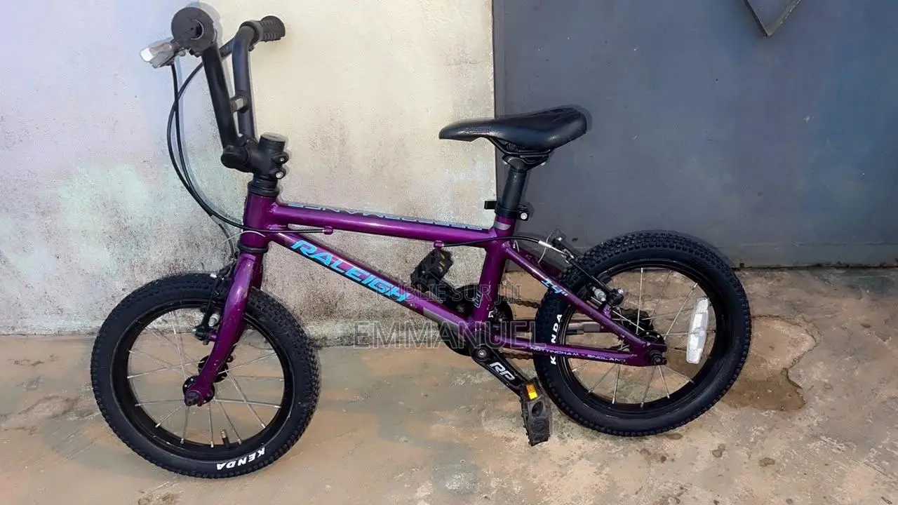 Raleigh 14" Performance - TBE ( Tres Bon Etat )