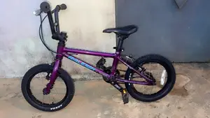 Raleigh 14" Performance - TBE ( Tres Bon Etat )