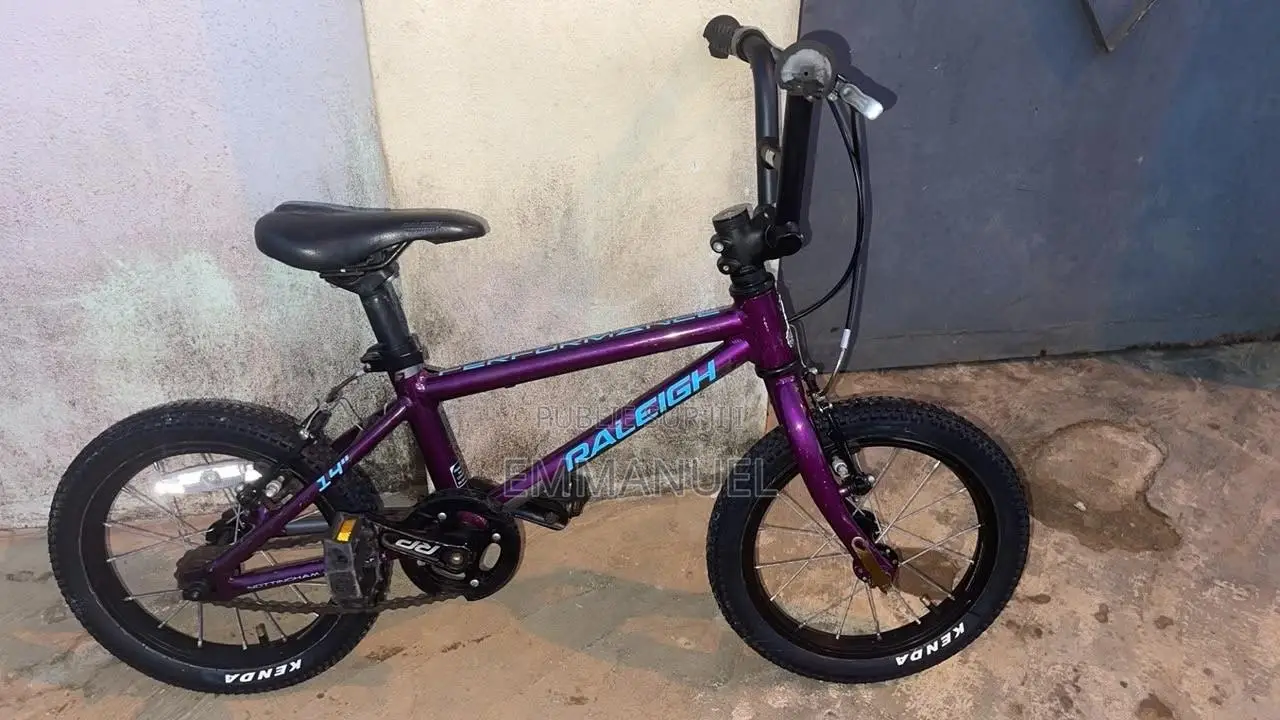 Raleigh 14" Performance - TBE ( Tres Bon Etat )