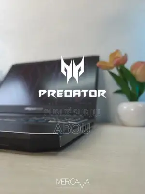 Ordinateur portable Acer Predator Helios 300 32GB Intel Core i7 SSD 1T