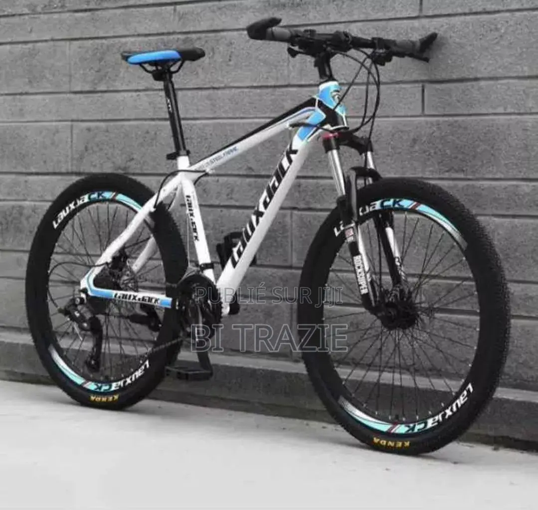 Vélo Électrique