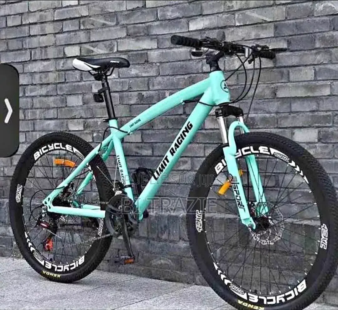 Vélo Électrique