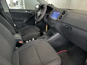 Volkswagen Tiguan 2009 Violet