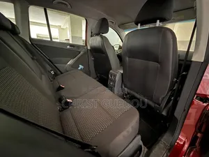 Volkswagen Tiguan 2009 Violet