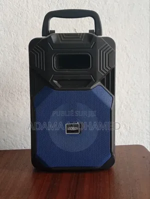 Haut Parleur Portable