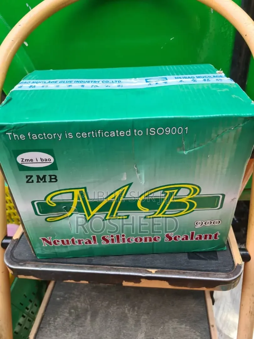 Silicone Neutre — Carton De 24 24 Pièces