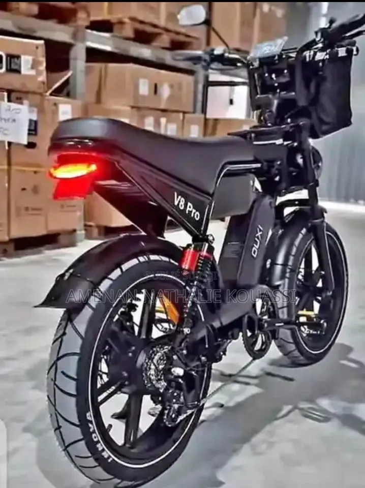 Vélos Électrique