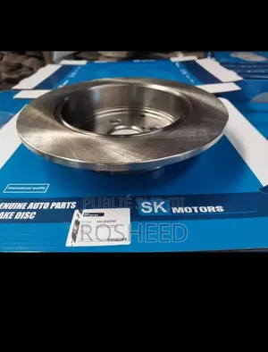 Disque De Frein Sk Motors Le Freinage, Ça Ne Se Néglige Pas