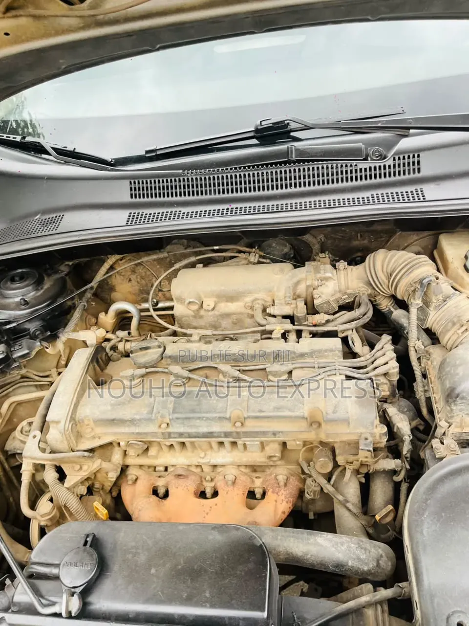 Kia Sportage 2006 Gris