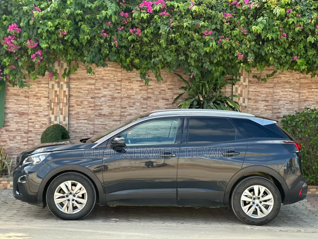 Peugeot 3008 2020 Noir Mat
