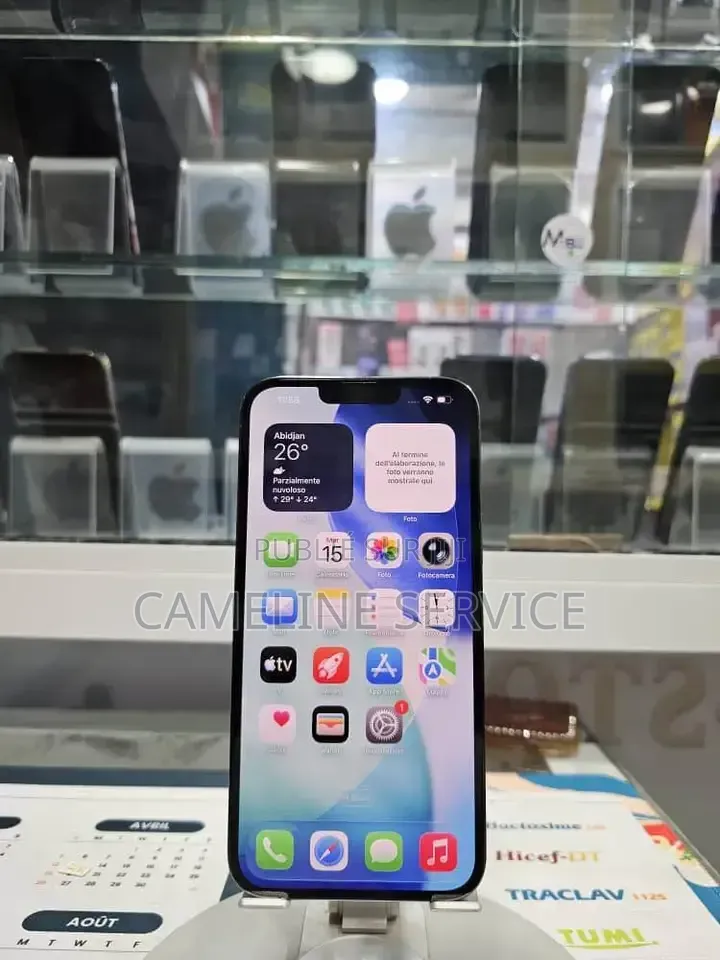 Nouveau Pomme iPhone 13 Pro Max 256 GB Gris